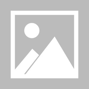 C7娱乐app-波尔多在客场战胜对手，晋级下一轮的简单介绍