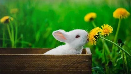 C7娱乐|青少年体育赛事v4.6.3