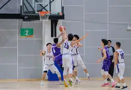 欧洲职业篮球联赛大事件，球迷热议