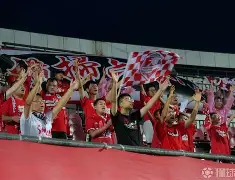 意甲传奇球星退役，感谢球迷支持